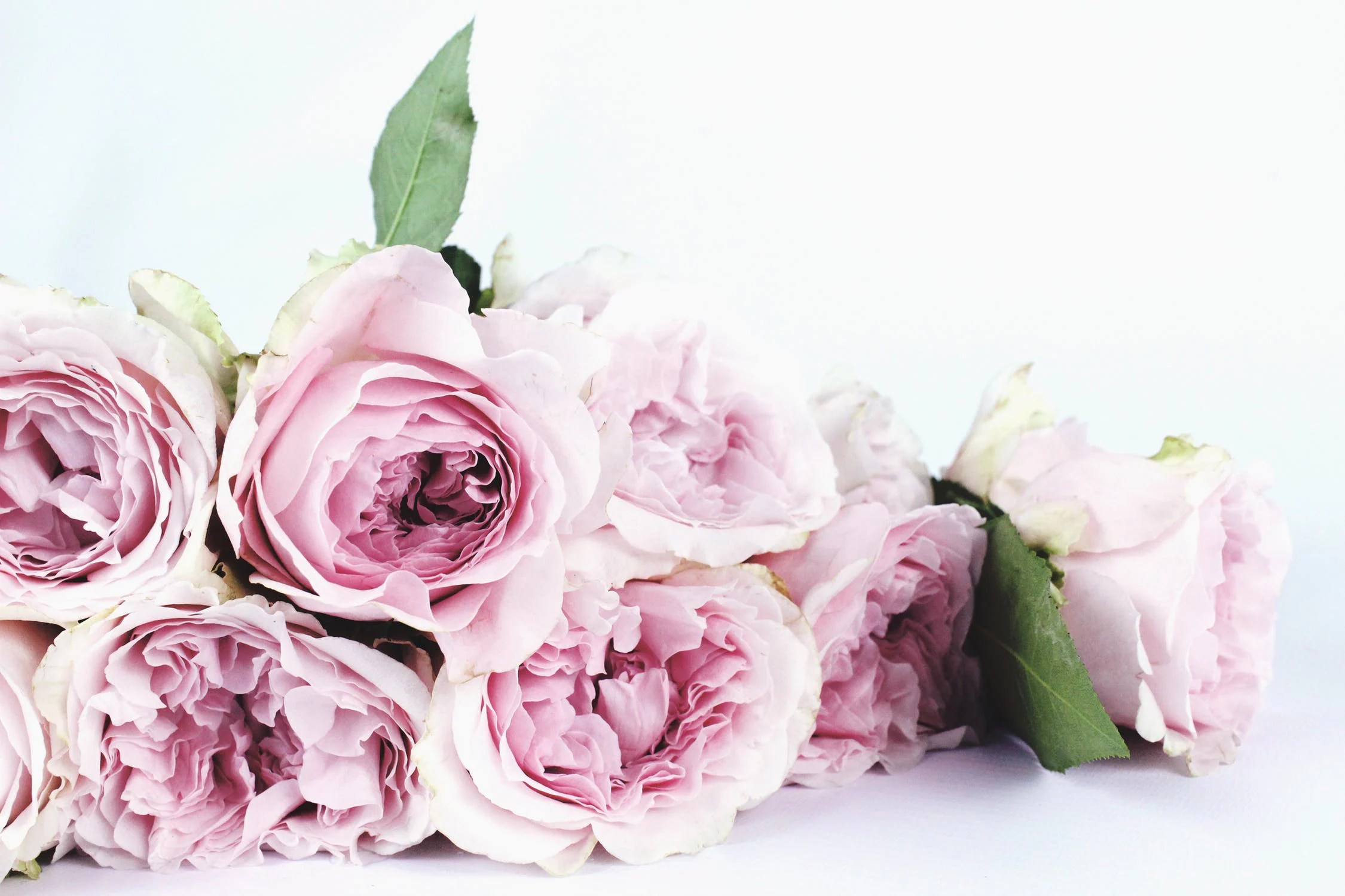 Fort Lauderdale Florist Flower Delivery by Brigitte's Flowers Galore